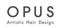 Opus Artistic Hair