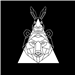 Bear and the Hare